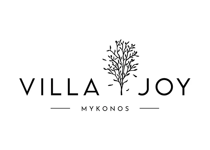 Hotel Joy Mykonos Boutique *